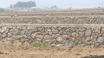 泰安新泰市樓德鎮 土地整理賦能特色產業，繪就鄉村振興新畫卷
